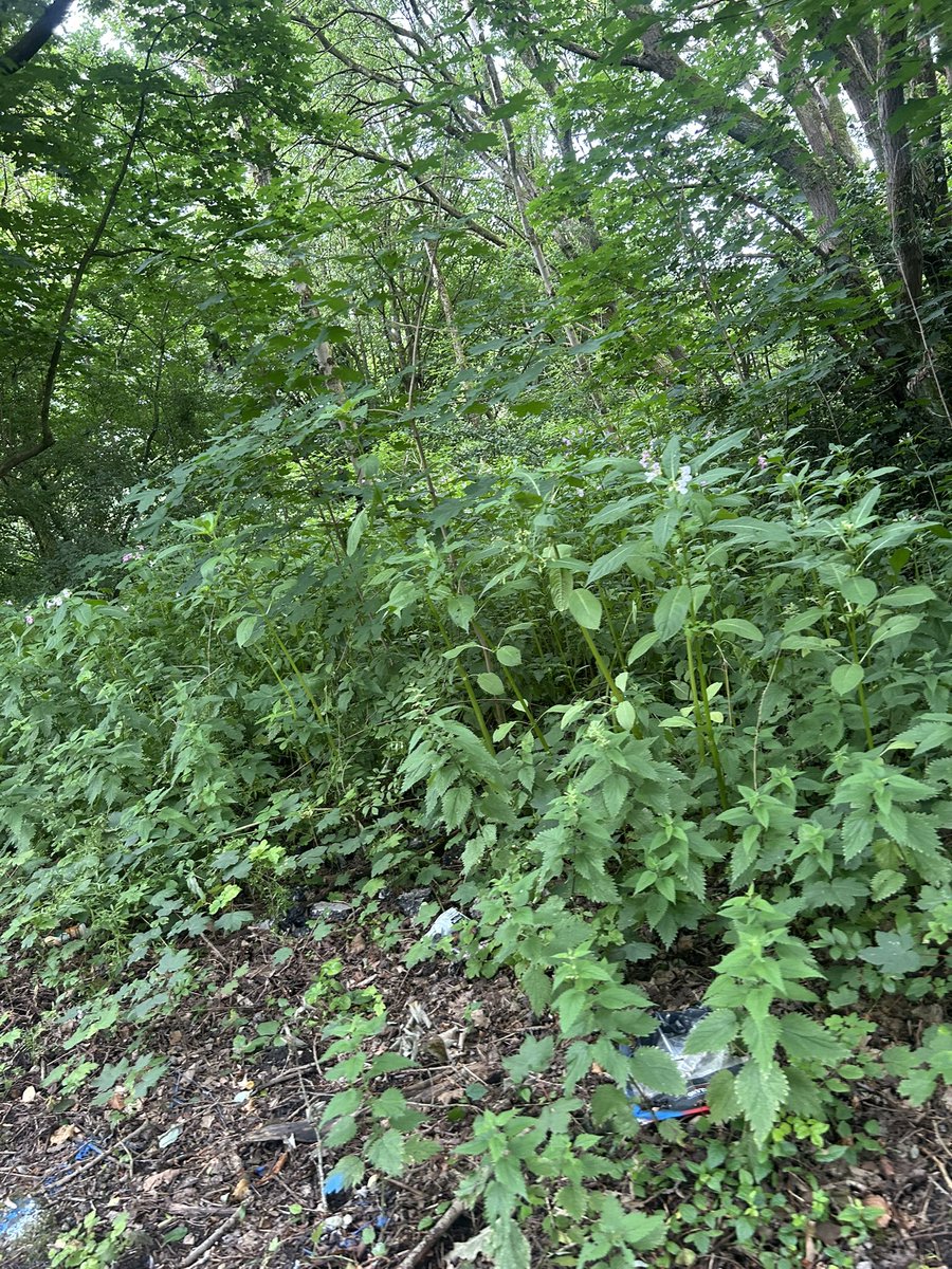 Amylowry💙 tweet media