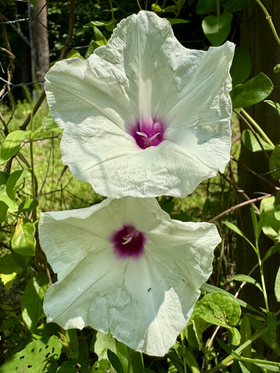 Collabor8tor's tweet image. 