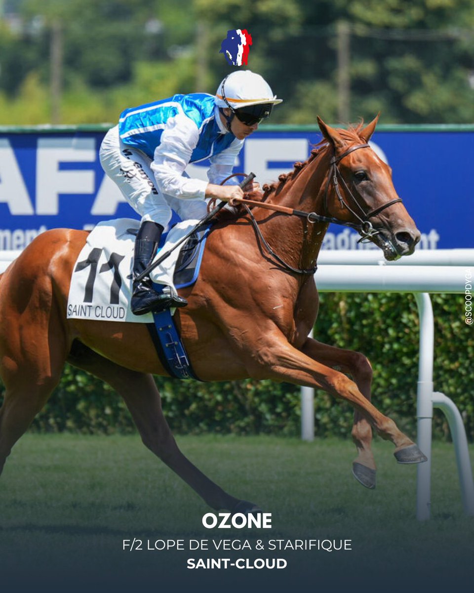 Jour de Galop (@jour_de_galop) on Twitter photo 𝗣𝗥𝗜𝗫 𝗜𝗗𝗔𝗟𝗜𝗘 (𝗜𝗡𝗘́𝗗𝗜𝗧𝗦), ST-CLOUD
Moins impressionnante au physique, Ozone (F2 Lope de Vega <a href="/BallylinchStud/">BallylinchStud</a>) a pourtant dominé de bout en bout, justifiant sa cote. Une victoire nette sous les couleurs Wertheimer & Frère et une étoile JDG ⭐️
jourdegalop.com 𝗣𝗥𝗜𝗫 𝗜𝗗𝗔𝗟𝗜𝗘 (𝗜𝗡𝗘́𝗗𝗜𝗧𝗦), ST-CLOUD
Moins impressionnante au physique, Ozone (F2 Lope de Vega <a href="/BallylinchStud/">BallylinchStud</a>) a pourtant dominé de bout en bout, justifiant sa cote. Une victoire nette sous les couleurs Wertheimer & Frère et une étoile JDG ⭐️
jourdegalop.com