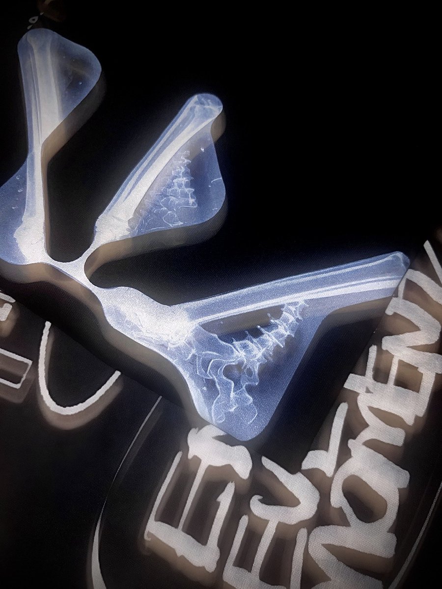 WOODZ LOGO Tee 🩻🩶