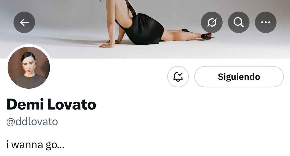 DDLchartdata's tweet image. 🚨 Demi Lovato updated her “X” profile.