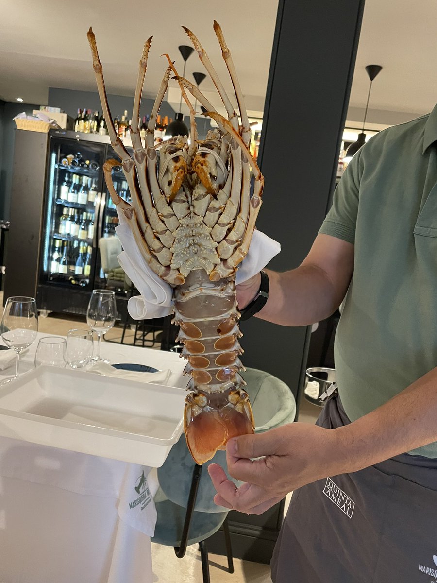 Illallinen. Kahdelle aika tukeva.