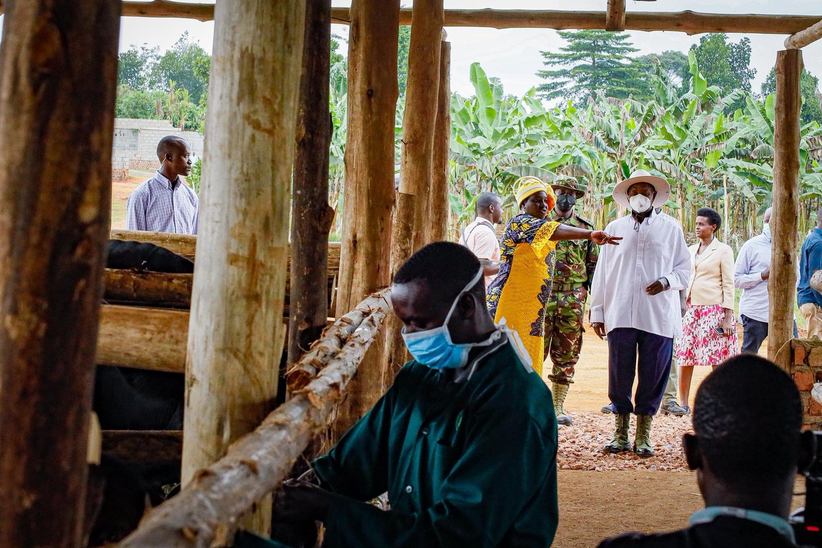 𝐃𝐀𝐘 𝐓𝐇𝐑𝐄𝐄 | President Museveni Visits PDM Beneficiary in Wakiso

On the third day of his PDM tours, H.E. <a href="/KagutaMuseveni/">Yoweri K Museveni</a> visited Ms. Atuhaire Jacklet Rwabukurukuru, a beneficiary of the Parish Development Model | #PDMChangingLives