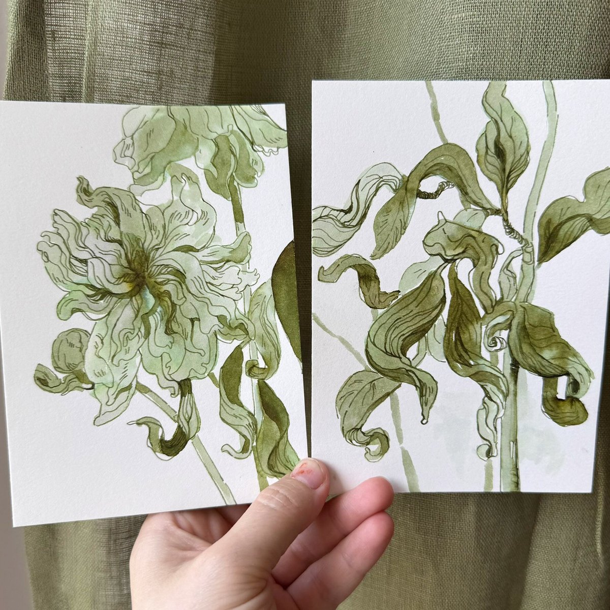 andthegrunlings's tweet image. Withered 🌱 Study of a withering flower bouquet in green ink with a red shimmer on smooth water color paper :) The originals are available together on my website ✨ #art #illustration #flowerart #flowerdrawing #inkart #green #inkdrawing #painting
