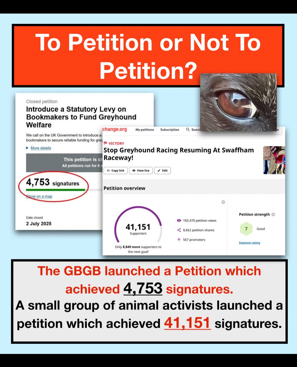 Robbie Grey#proudtobeananimalextremist (@robbiegrey2) on Twitter photo Just goes to show how so well supported greyhound racing is NOT! A small group achieves over 40k signatures against one track reopening but the GBGB can’t even achieve 5k for theirs. <a href="/lisanandy/">Lisa Nandy MP</a> <a href="/SteveReedMP/">Steve Reed MP</a> <a href="/RupertLowe10/">Rupert Lowe MP</a> <a href="/AliceMLabour/">Alice Macdonald MP</a> <a href="/AnimalAid/">Animal Aid</a> <a href="/BlueCrossPA/">BlueXPublicAffairs</a> #cutthechase Just goes to show how so well supported greyhound racing is NOT! A small group achieves over 40k signatures against one track reopening but the GBGB can’t even achieve 5k for theirs. <a href="/lisanandy/">Lisa Nandy MP</a> <a href="/SteveReedMP/">Steve Reed MP</a> <a href="/RupertLowe10/">Rupert Lowe MP</a> <a href="/AliceMLabour/">Alice Macdonald MP</a> <a href="/AnimalAid/">Animal Aid</a> <a href="/BlueCrossPA/">BlueXPublicAffairs</a> #cutthechase