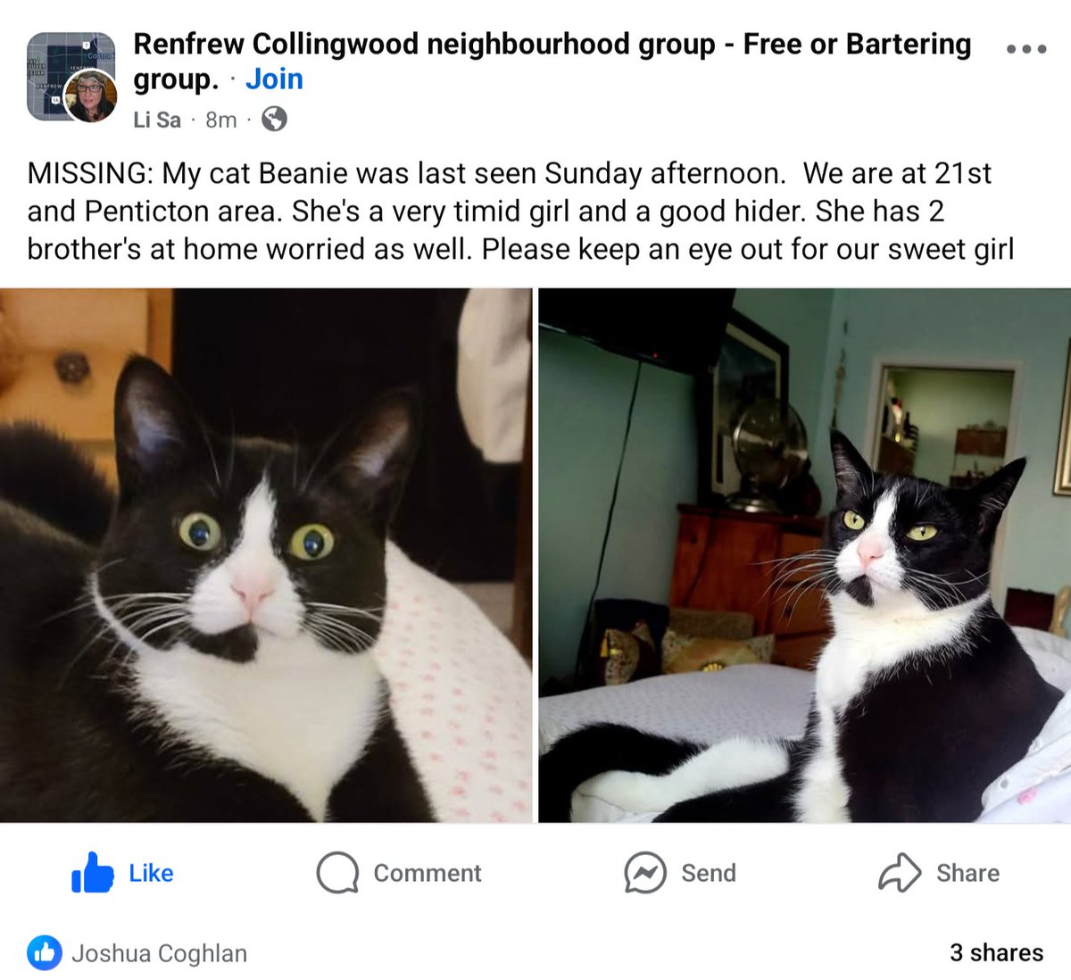 JCog88's tweet photo. My mothers cat is missing last seen Sunday Afternoon, if you see her please DM me or join the group &amp; let her know.

#MissingCat #EastVan #NaninmoStation #VanCity #FacebookMissingCat 

https://t.co/1NnA5ekTNW https://t.co/JEzpu2JGmT