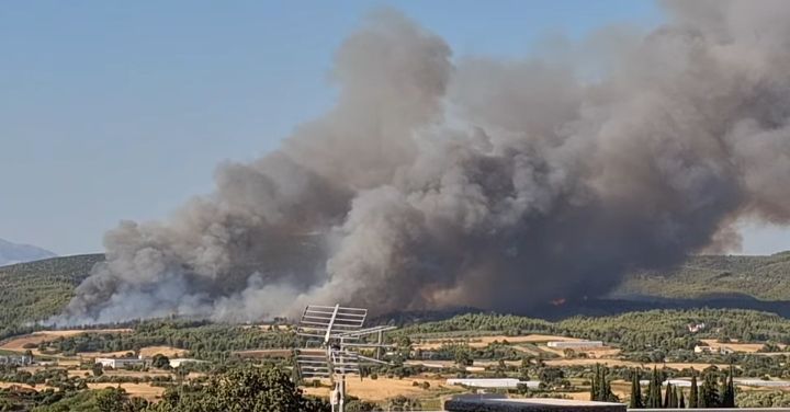 epoxpyrosvestes's tweet photo. 🔥 Μεγάλη ανεξέλεγκτη πυρκαγιά στον Ωρωπό Αττικής
⚠️ Ενεργοποίηση 1⃣1⃣2⃣
🆘 Δασική πυρκαγιά στην περιοχή σας
‼️ Αν βρίσκεστε στην περιοχή #Ασπροχώρι #Ωρωπού #Αττική απομακρυνθείτε προς Εθνική Οδό Αθηνών-Λαμίας
‼️ Ακολουθείτε τις οδηγίες των Αρχών
ℹ️ https://t.co/OOiBf8XsCw https://t.co/68uv8es0pe