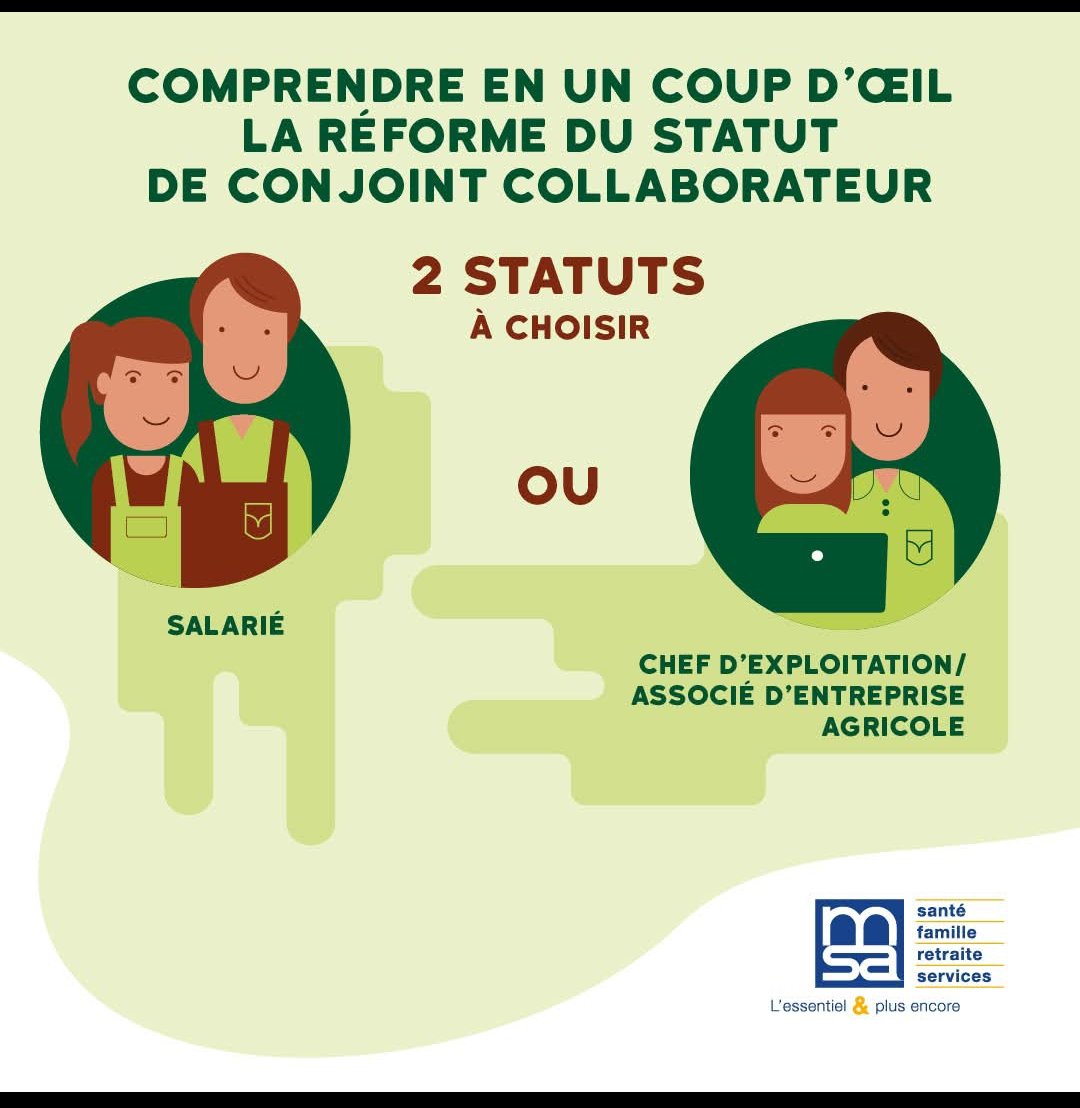 MSA de la Corse tweet media