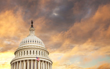 Lafasaorg's tweet photo. The July newsletter is out! New Laws, Advocacy in DC, Training, and Summer days
https://t.co/YBXkg8uFZj https://t.co/OILYF4HNKY
