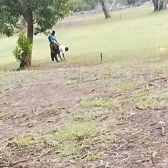 huku ushago kazi ni kulima tu 😂