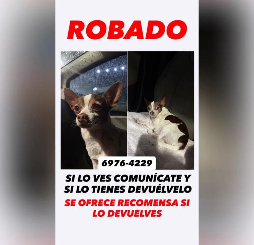 #ServicioSocial
SE BUSCA 🚨

Ayúdenme a compartir por favor. Sería de muchísima ayuda😔. ZONA MEJICANOS Y ZACAMIL. POR ESCUELA SAN ALFONSO.