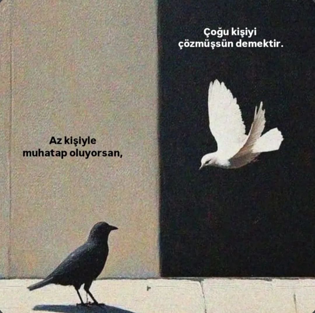 AYLİN (@ay_linnnn10) on Twitter photo 