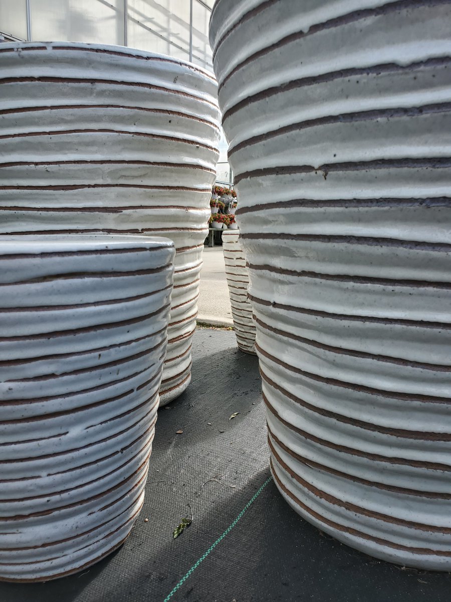 Come by and explore our beautiful outdoor containers - available in a wide variety of colours, textures, and shapes.

#thebloomingardener #containers #plantcontainers #outdoorcontainers #localgreenhouse #yqgbusiness #enhanceyourhome #yqg #open7days