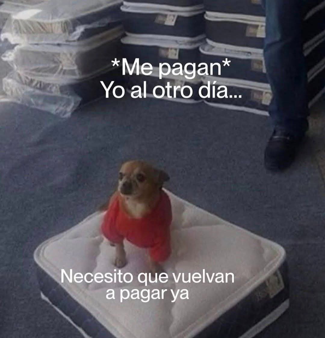 el jeringas tweet media