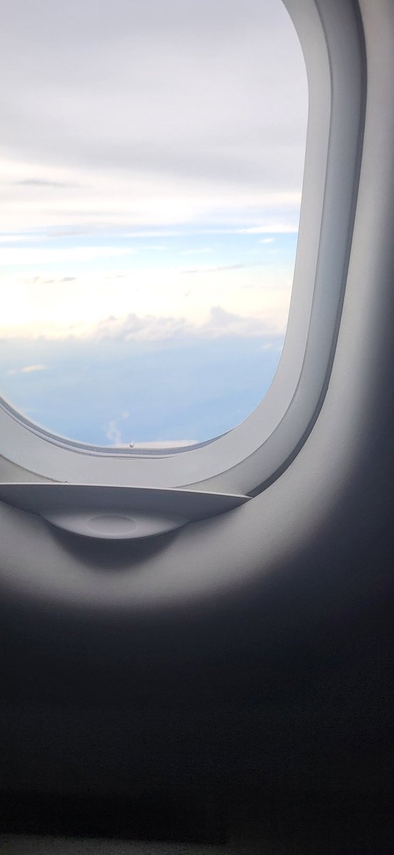 _TaylorNF's tweet image. Hello texas 🤭