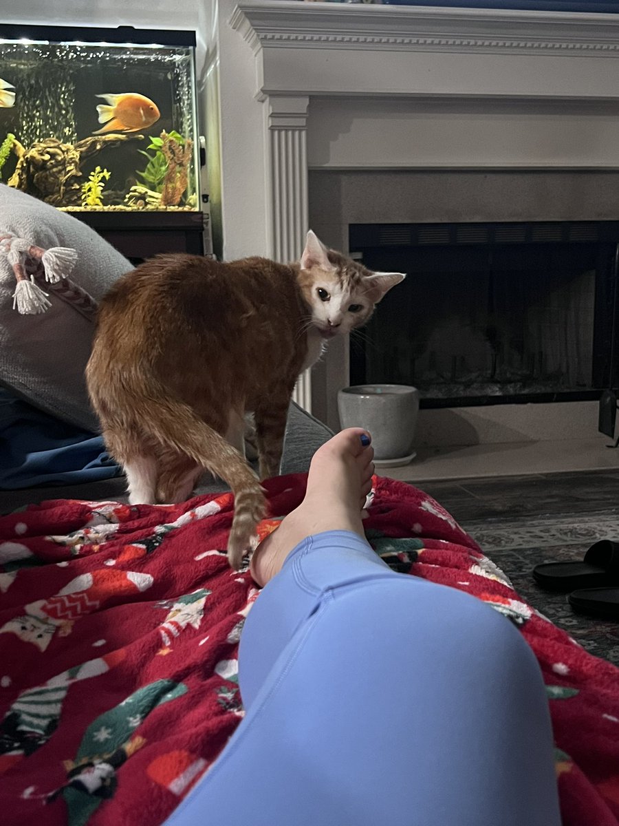 Don’t make me come over there and hit you!