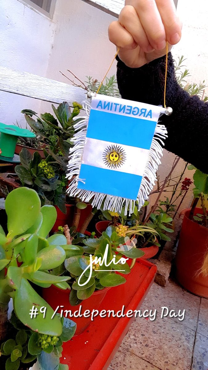 VZArgentina's tweet image. #9july  felices 209 años mi linda ARGENTINA 🇦🇷🇦🇷🇦🇷🇦🇷 hoy mi patio de plantas luce bandera y contenta que  pronto cocinamos empanadas tambien 😄😊 #verobsas #argentina #liyifengnews #happyindependencyday