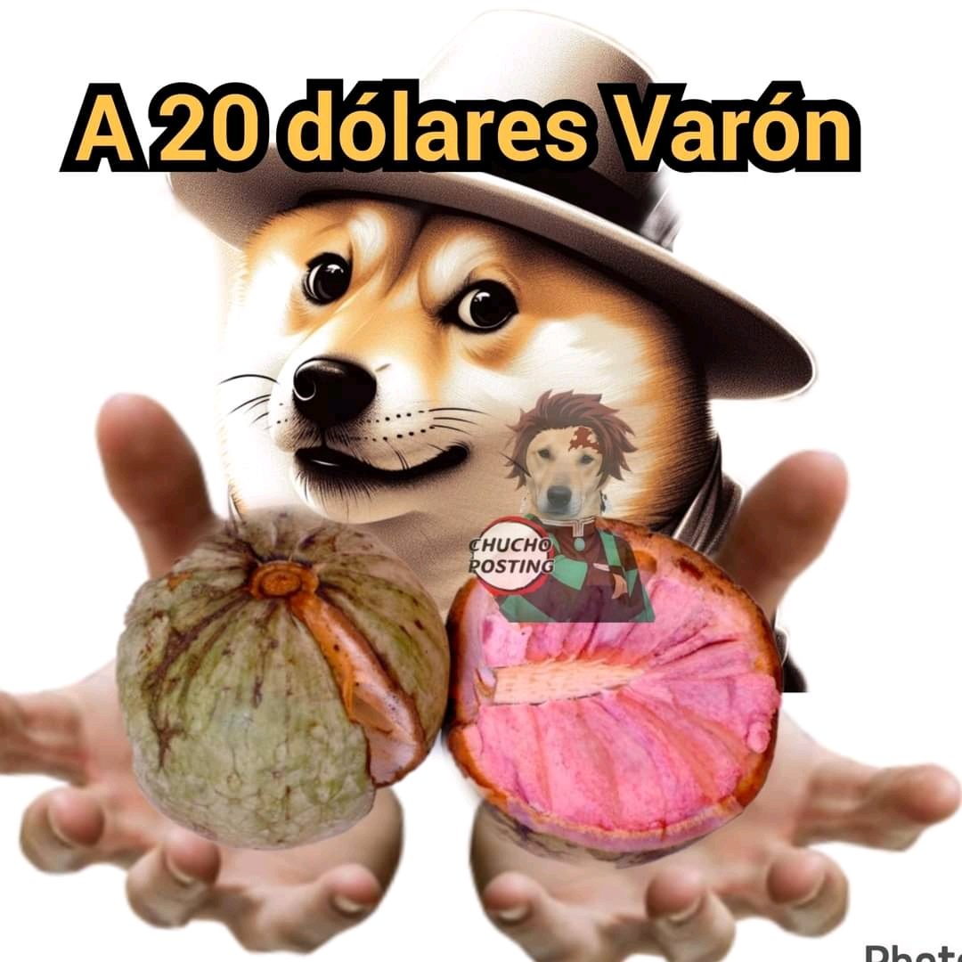 Chapudito503's tweet photo. Los próximos serán los jocotes de corona y los elotes locos d feria  las pizzas sobre valoradas d centro histórico y los mangos panades https://t.co/52zdR077zi