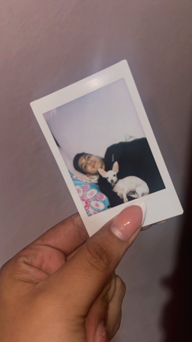 Vannessa_GR's tweet photo. Mis bebés preciosos 💗
@calebrodeap https://t.co/Is4i5nCxfn