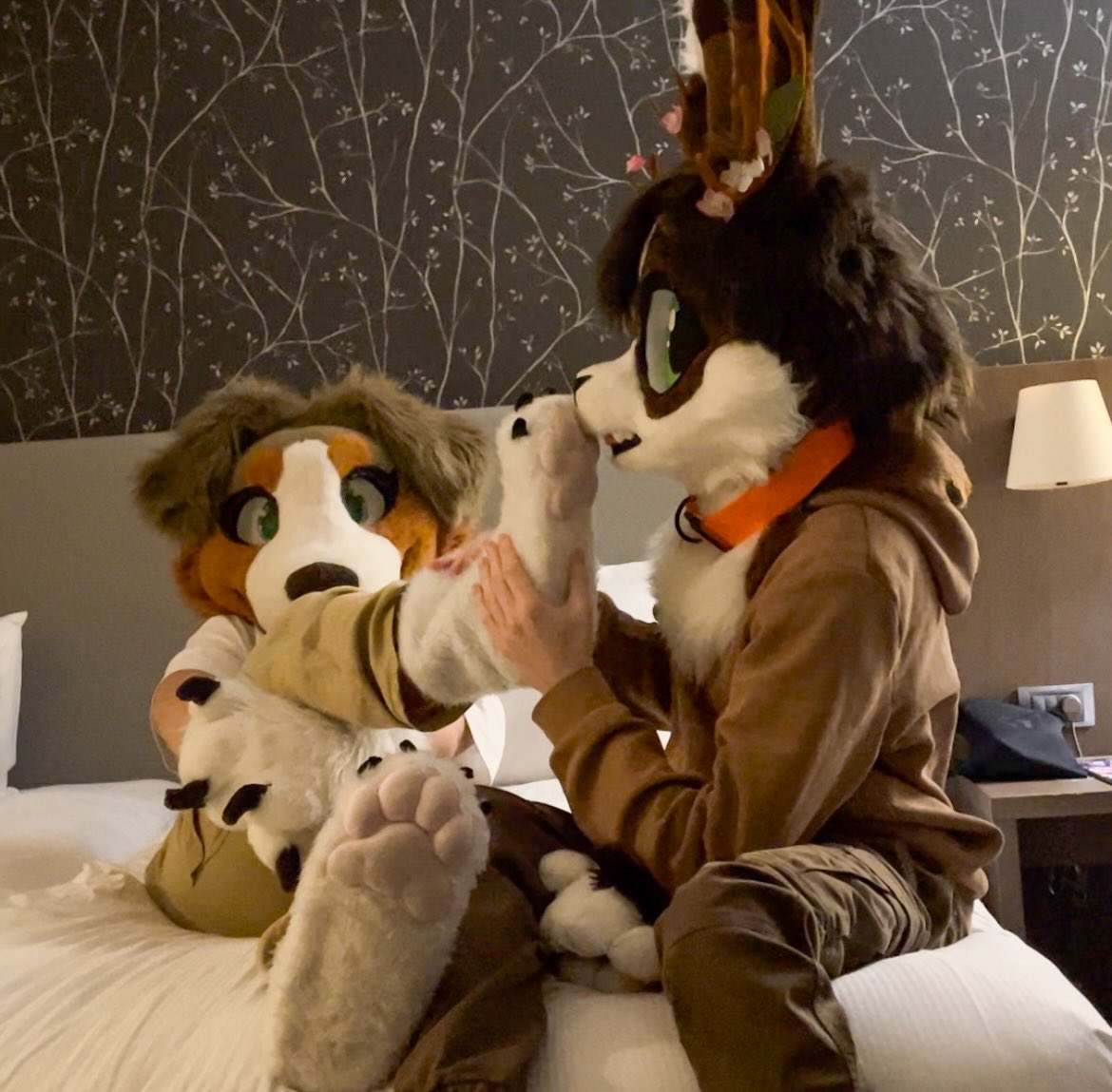 Paws inspection ☺️🐾