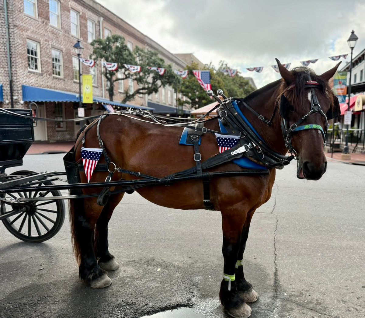 blueknight0055's tweet image. This business is facing a fight in the medium sized tourist magnet, Savannah Ga. On its face it will appear to an outsider as your average city vs business fight. It isn't. The business owners won't say this but l can and l will. This started with one phrase years ago and this…