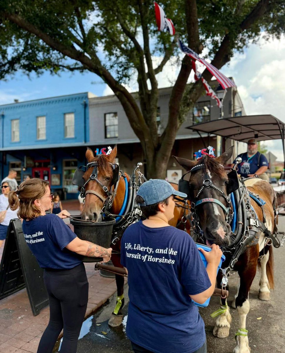 blueknight0055's tweet image. This business is facing a fight in the medium sized tourist magnet, Savannah Ga. On its face it will appear to an outsider as your average city vs business fight. It isn't. The business owners won't say this but l can and l will. This started with one phrase years ago and this…