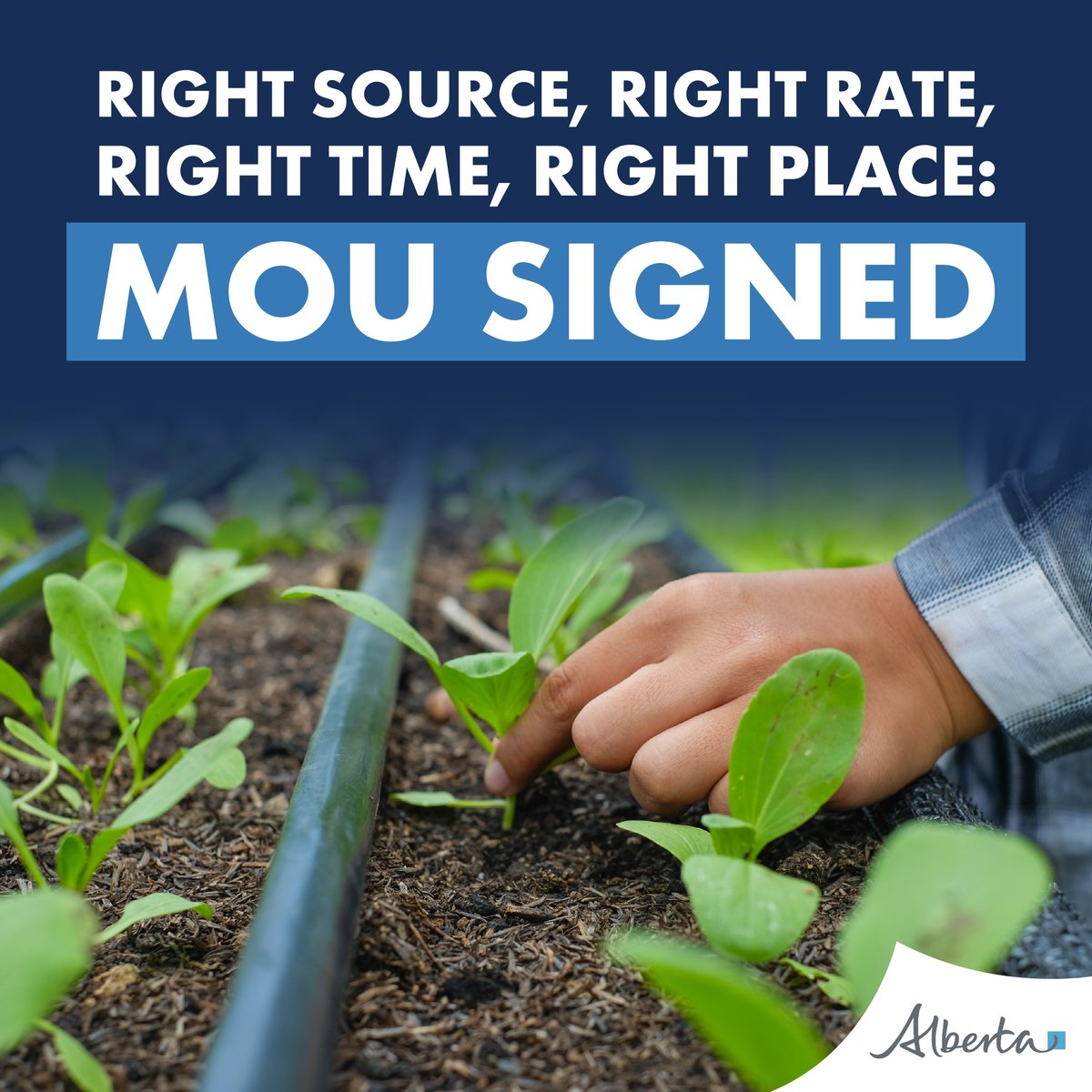 RJ Sigurdson (@rjsigurdson) on Twitter photo Today, I was proud to announce a new Memorandum of Understanding between the Government of Alberta, Fertilizer Canada and Alberta Grains to promote 4R Nutrient Stewardship — using the right source, right rate, right time, and right place for fertilizer use.
This partnership Today, I was proud to announce a new Memorandum of Understanding between the Government of Alberta, Fertilizer Canada and Alberta Grains to promote 4R Nutrient Stewardship — using the right source, right rate, right time, and right place for fertilizer use.
This partnership
