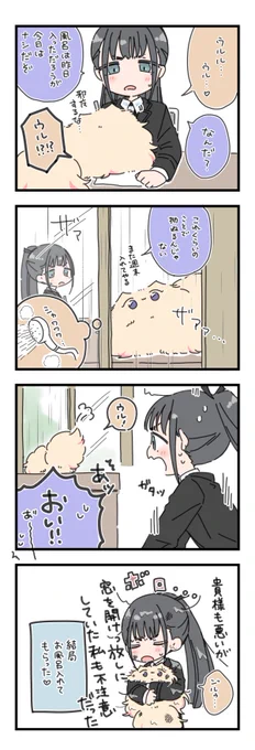 お風呂キャット🛀🐈

駄々捏ねれば麻央はすぐに入れてくれるけど燕はなかなか入れてくれない 
