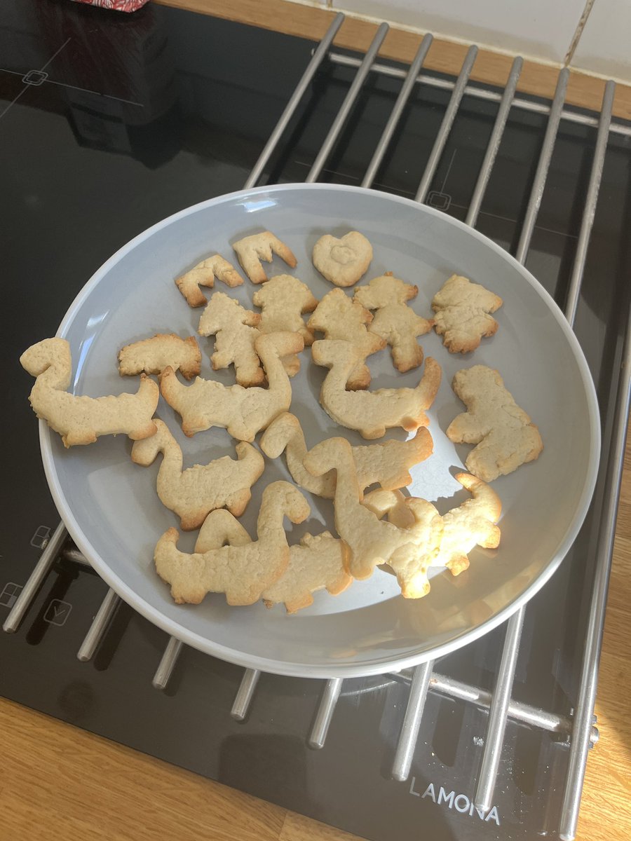Amanda_M87's tweet photo. @LanchesterEP in honour of KS2 ‘Yanomamo’ performance at Consett Empire Theatre tomorrow - Yanomamo themed biscuits have been baked - they had dinosaurs in the rainforest, right? 😂 https://t.co/PPRzeh9aMn