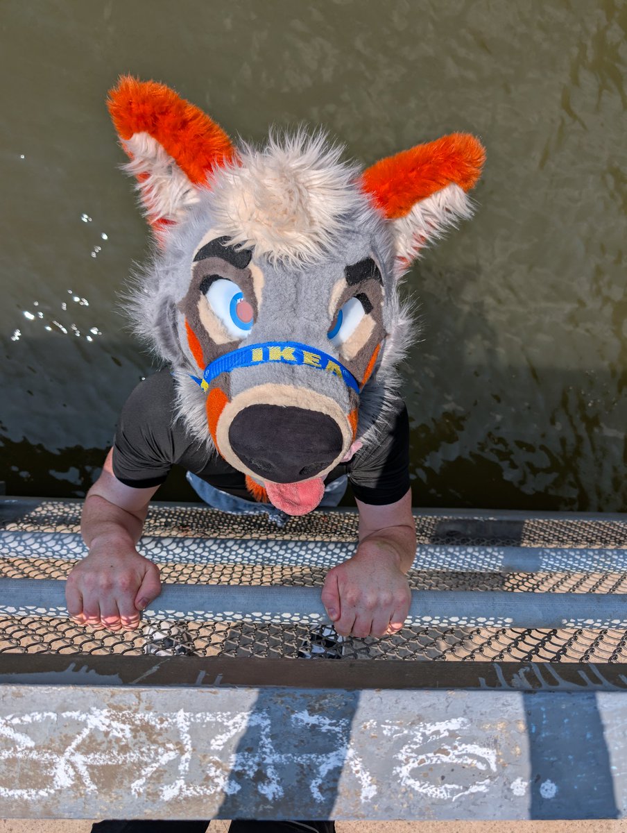 PartDoggo's tweet image. Don&apos;t just stand there!