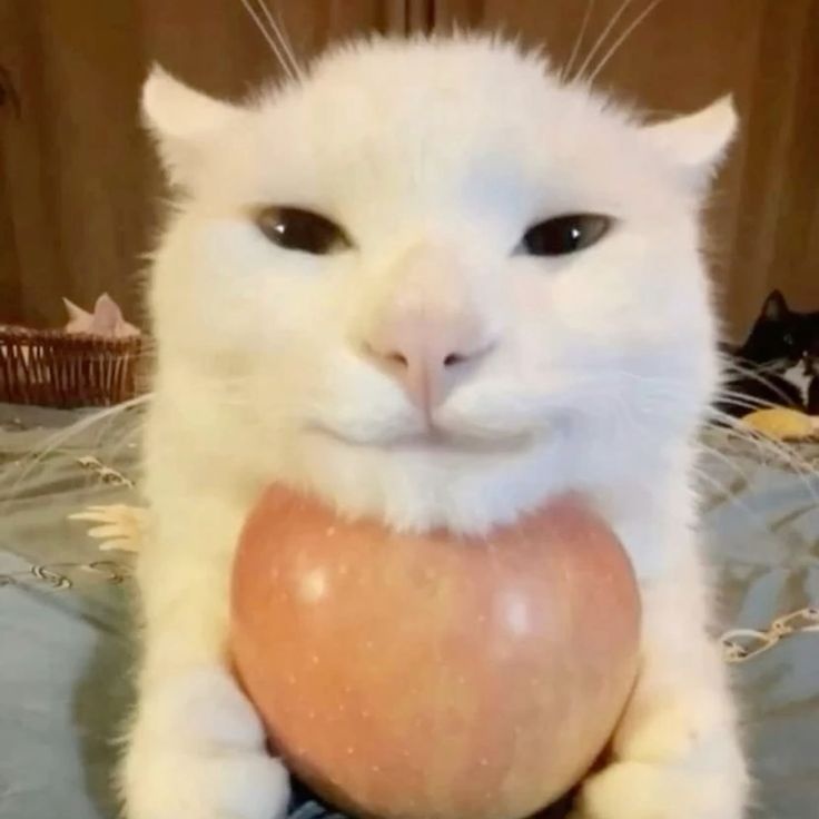 tbestJD's tweet image. :3