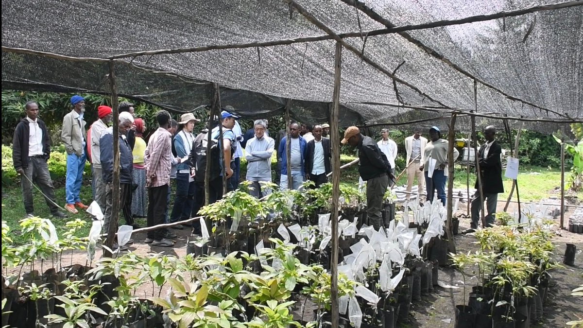 On June 21, 2025, SAA delegates including President Shuichi Suzuki, Prof. Itagaki, Shiho Ichikawa, Daichi Watanuki, Dr. Mel Oluoch, Dr. Fentahun Mengistu &amp; others visited interventions making a significant impact on local agricultural practices in Turge Gallo, Negele Arsi.