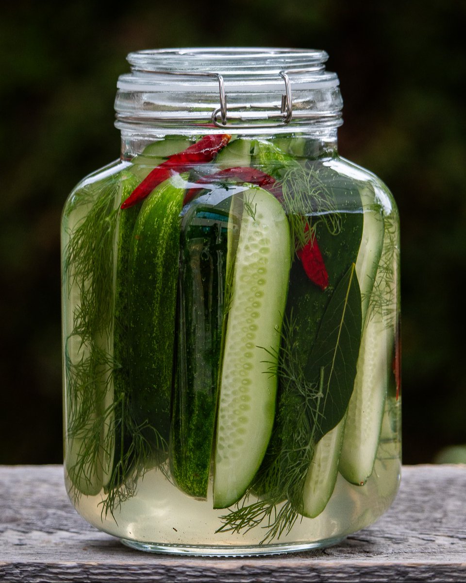 This is for all those barbecue guests who insist on having something green amongst their plate of brisket and pulled pork. 

Learn how to make a homemade cold brine so you can pickle all your favorite veggies. 

Click here to learn more: bit.ly/43Qq2f1

#pitbossgrills