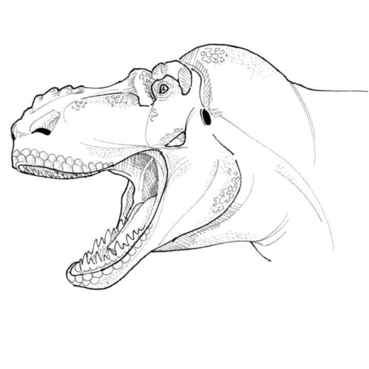 #PortfolioDay hmmm
Hi I'm Piere, I love animals