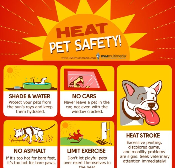Today is going to be a hot one so please check out these informative graphics about heat-related illnesses, who's vulnerable to the heat, pet safety in the heat, &amp; heat safety. Please everyone be safe today if you have to be in this heat.

#COwx #Colorado