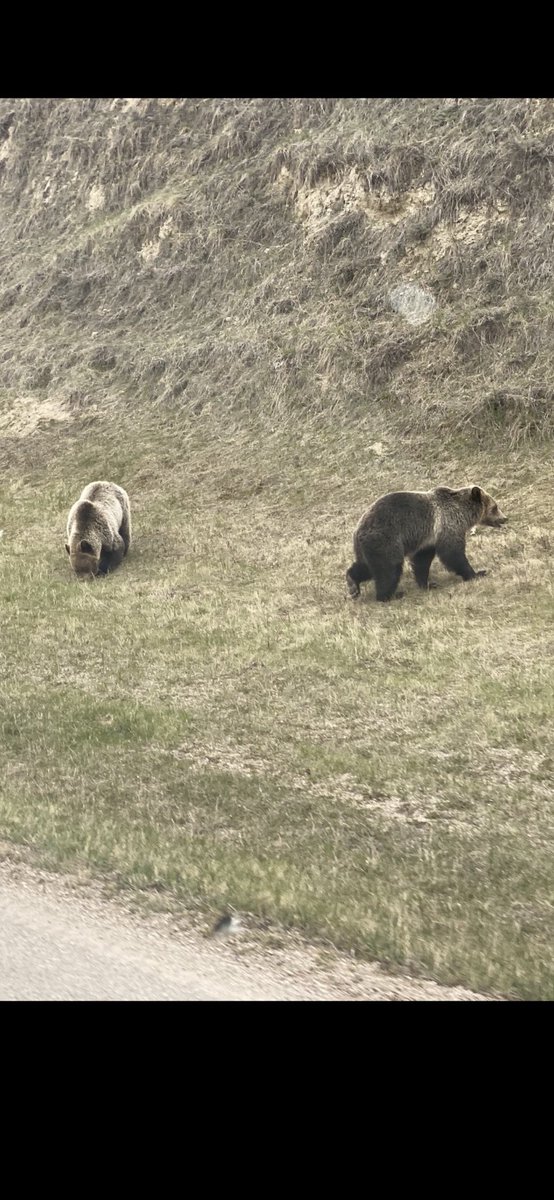 mark lofthouse 🇬🇧🇬🇧🇬🇧🇬🇧 tweet media