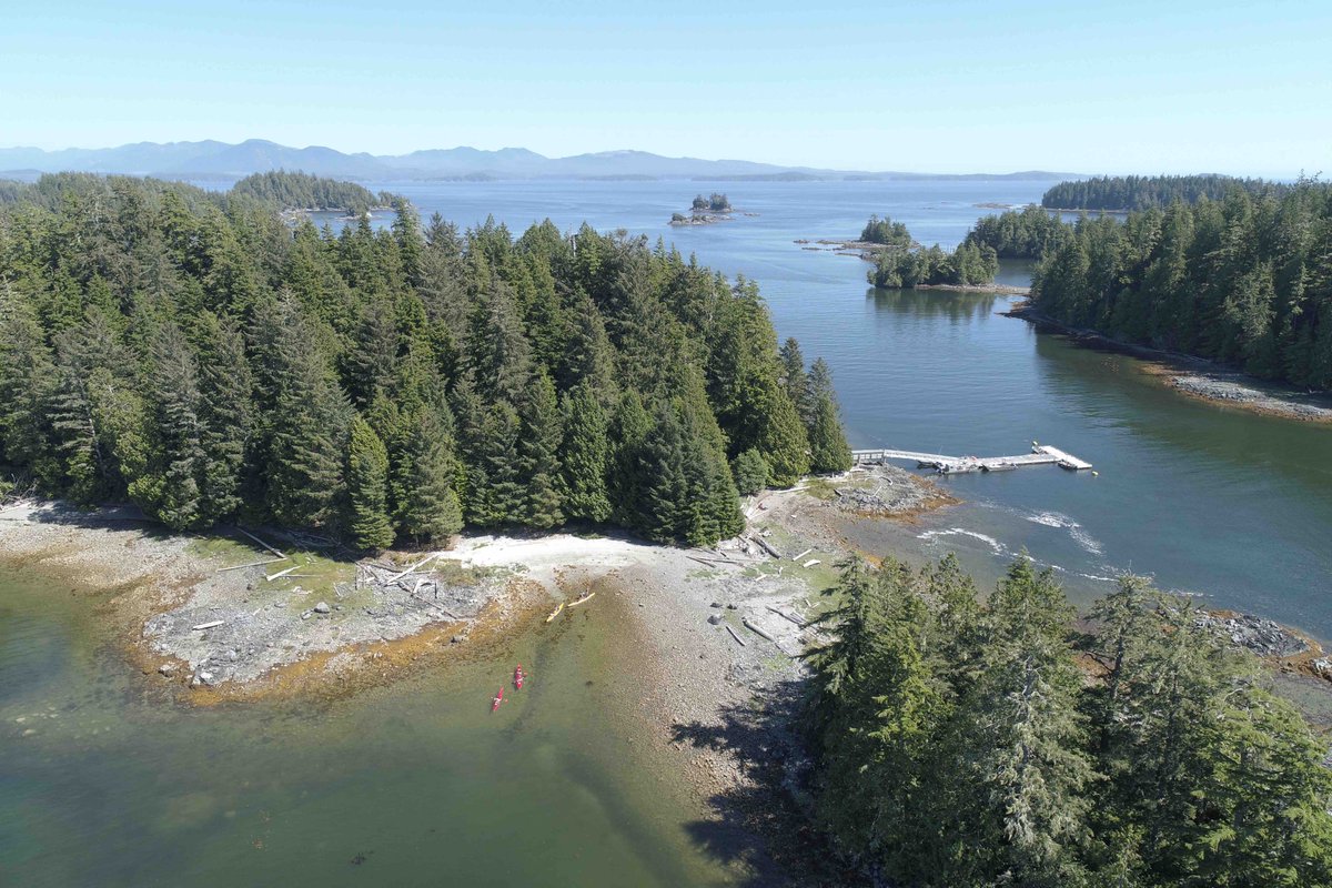 HakaiInstitute's tweet image. A new study reveals the Broken Group Islands off the west coast of Vancouver Island are a bright spot for shellfish populations in the northeast Pacific Ocean—showing a sustainable relationship between local First Nations and shellfish over millennia. 🔗tinyurl.com/5psvxjsa
