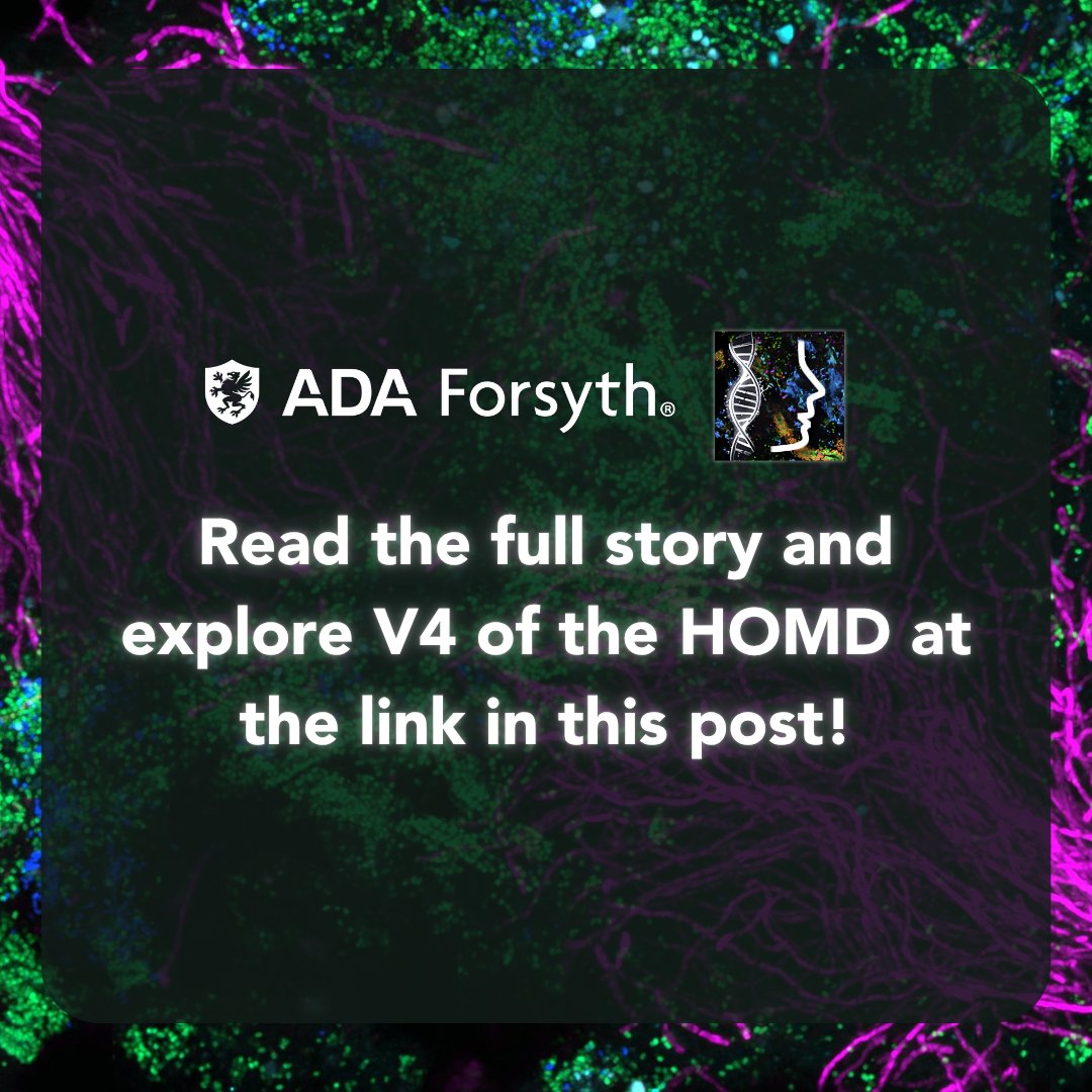 ForsythResearch's tweet image. Scientists at AFI, including Jessica Mark Welch, Ph.D., Tsute “George” Chen, Ph.D., Susan Weir, Ph.D., Susan Yost, and Tina Yaskell, along with external collaborators, have recently completed an update to the Human Oral Microbiome Database.
Learn more: forsyth.org/ada-forsyth-an…