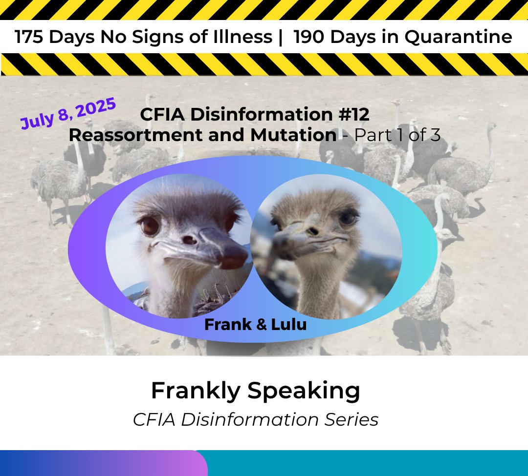 Frankly Speaking, July 8, 2025
Response to CFIA Disinformation #12 Part 1 on Reassortment and Mutation:
saveourostriches.com/press-releases…
* CFIA’s claim that the ostriches at Universal Ostrich Farms carry a novel reassortment” of H5N1 is misleading.
* Open pasture as a primary risk factor