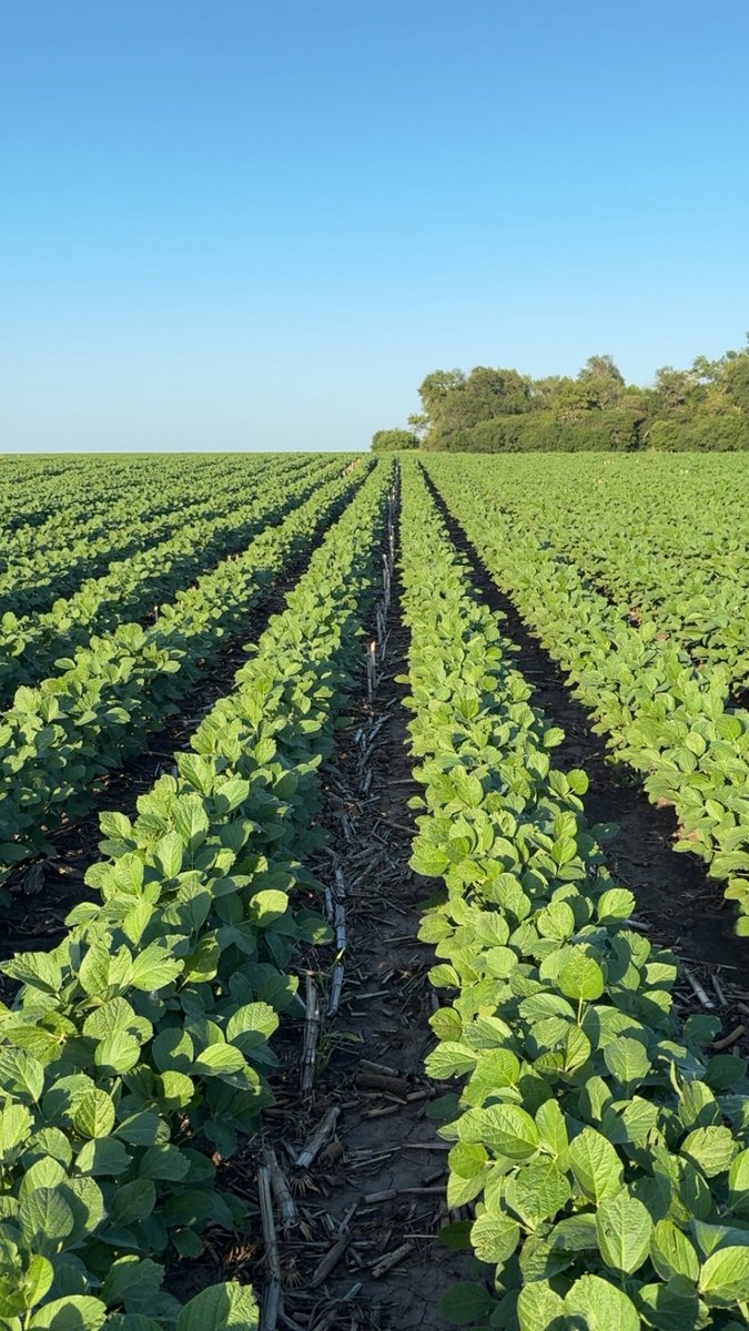 Deon Entringer tweet media