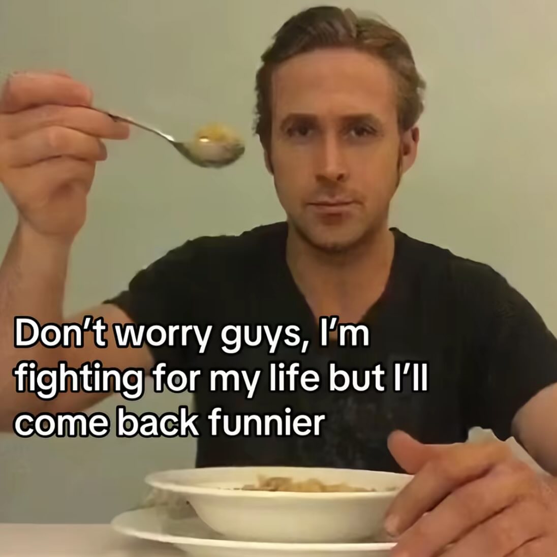 Out Of Context Animals (@animalscontexts) on Twitter photo 