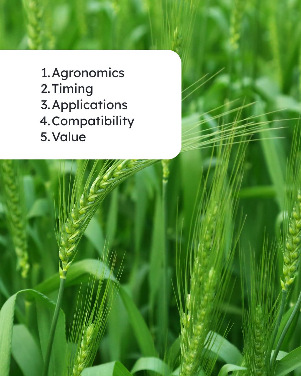 Not all fungicides are created equal — here’s how to pick the right one for your crop!

Agronomics: Does it cover the diseases you’re targeting? 

Timing: Match your product to the right spray window.

Applications: Are you planning for one or two apps? Go for longer protection