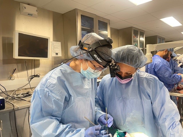 MUneurosurgery's tweet image. Dr. Paul Camarata visited with our residents and faculty and lead an educational posterior fossa cadaver lab. Thanks to Dr. Camarata for his time and expertise! Thanks to @StrykerEndo for hosting the lab! #neurosurgery #meded