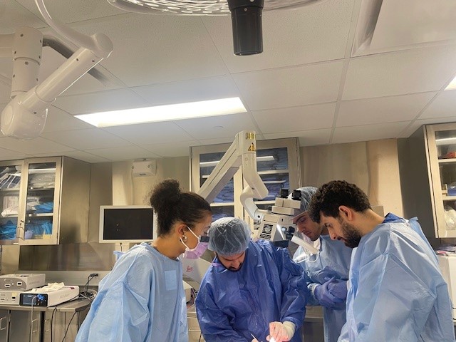 MUneurosurgery's tweet image. Dr. Paul Camarata visited with our residents and faculty and lead an educational posterior fossa cadaver lab. Thanks to Dr. Camarata for his time and expertise! Thanks to @StrykerEndo for hosting the lab! #neurosurgery #meded