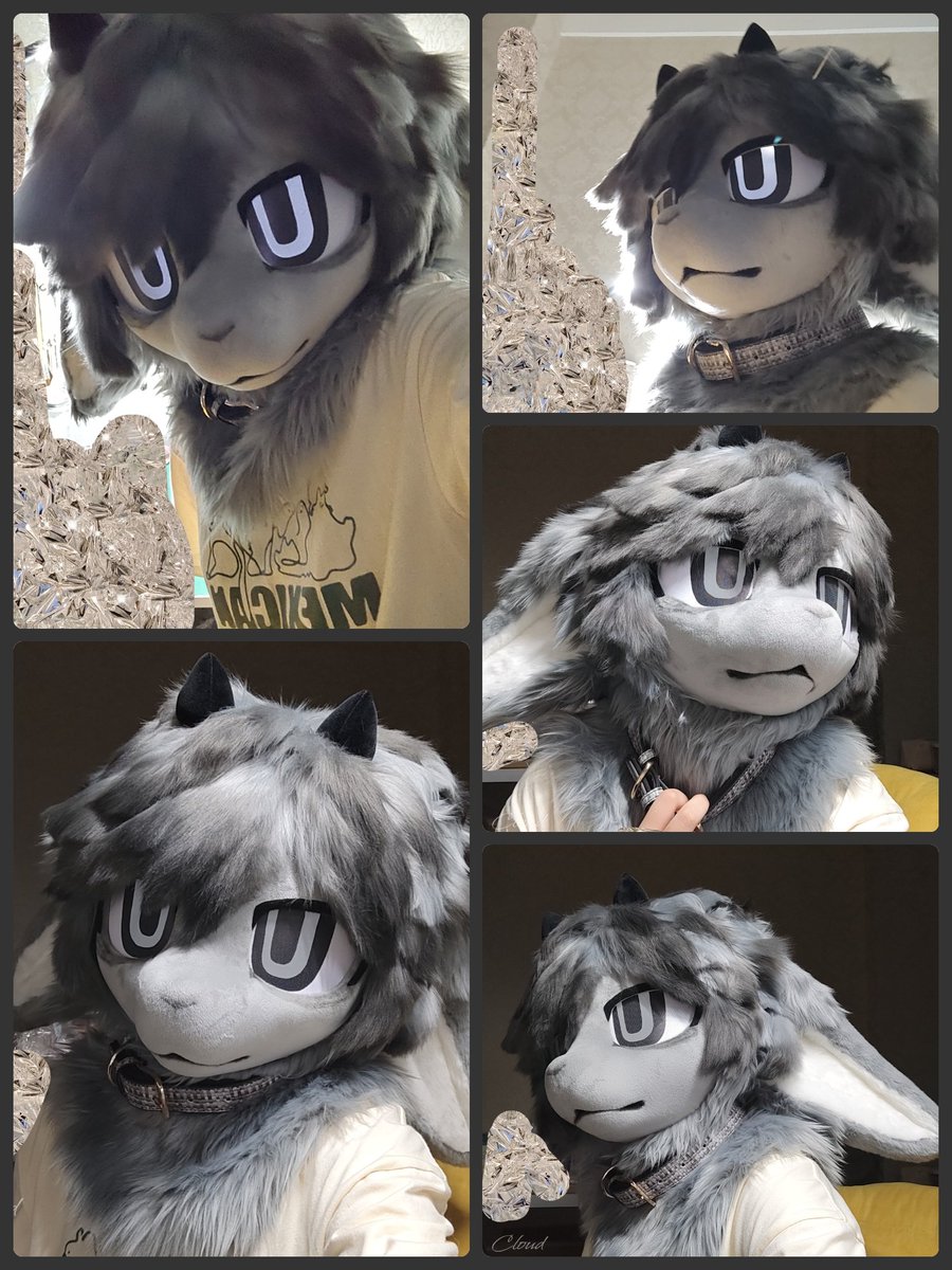 ✨✨【fursuit premade】✨
This is a proxy auction⭐️ Starting at $1000, Excluding postage✨Including head⭐️ ✨Head height is 27.5cm,Head circumference within 60cm✨Please bid DM, and the price will be synchronized in the comment section
#FursuitEveryday #fursuit #兽装