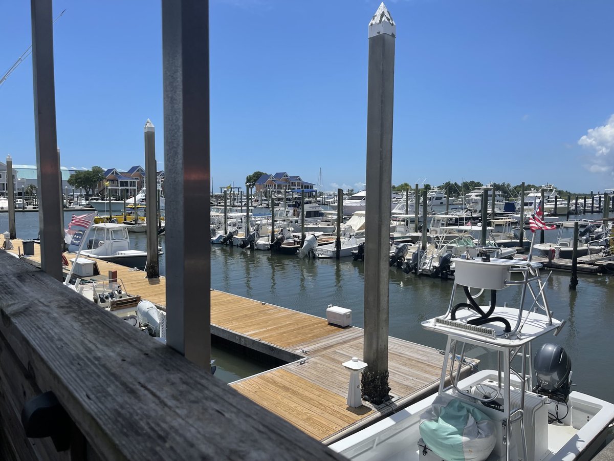 My view for lunch.