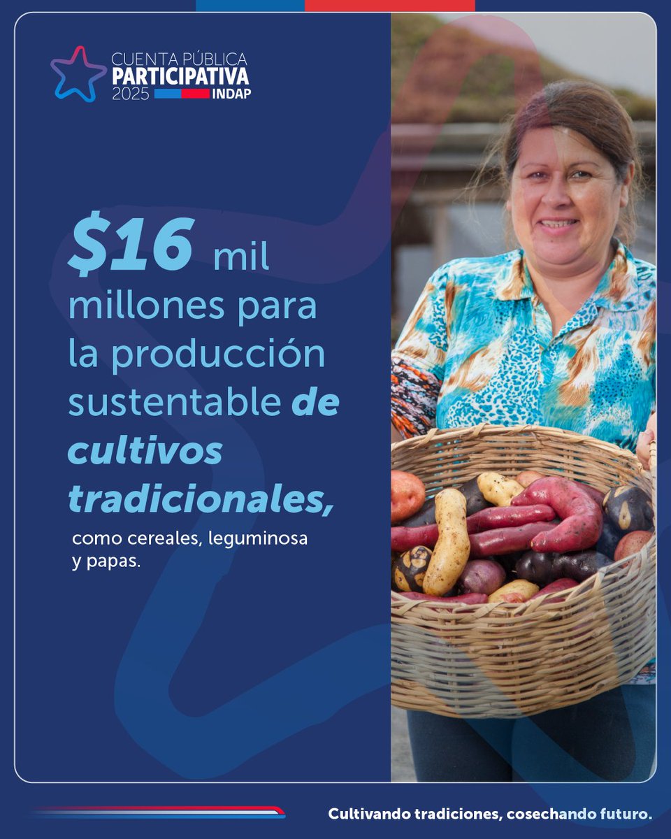 #CuentaPúblicaINDAP 🌱Impulsamos una producción que valora nuestras raíces y proyecta el futuro. Apoyamos cultivos tradicionales de manera sustentable, fortaleciendo la seguridad y soberanía alimentaria del país. Transmisión en vivo 👉🏻 indap.gob.cl