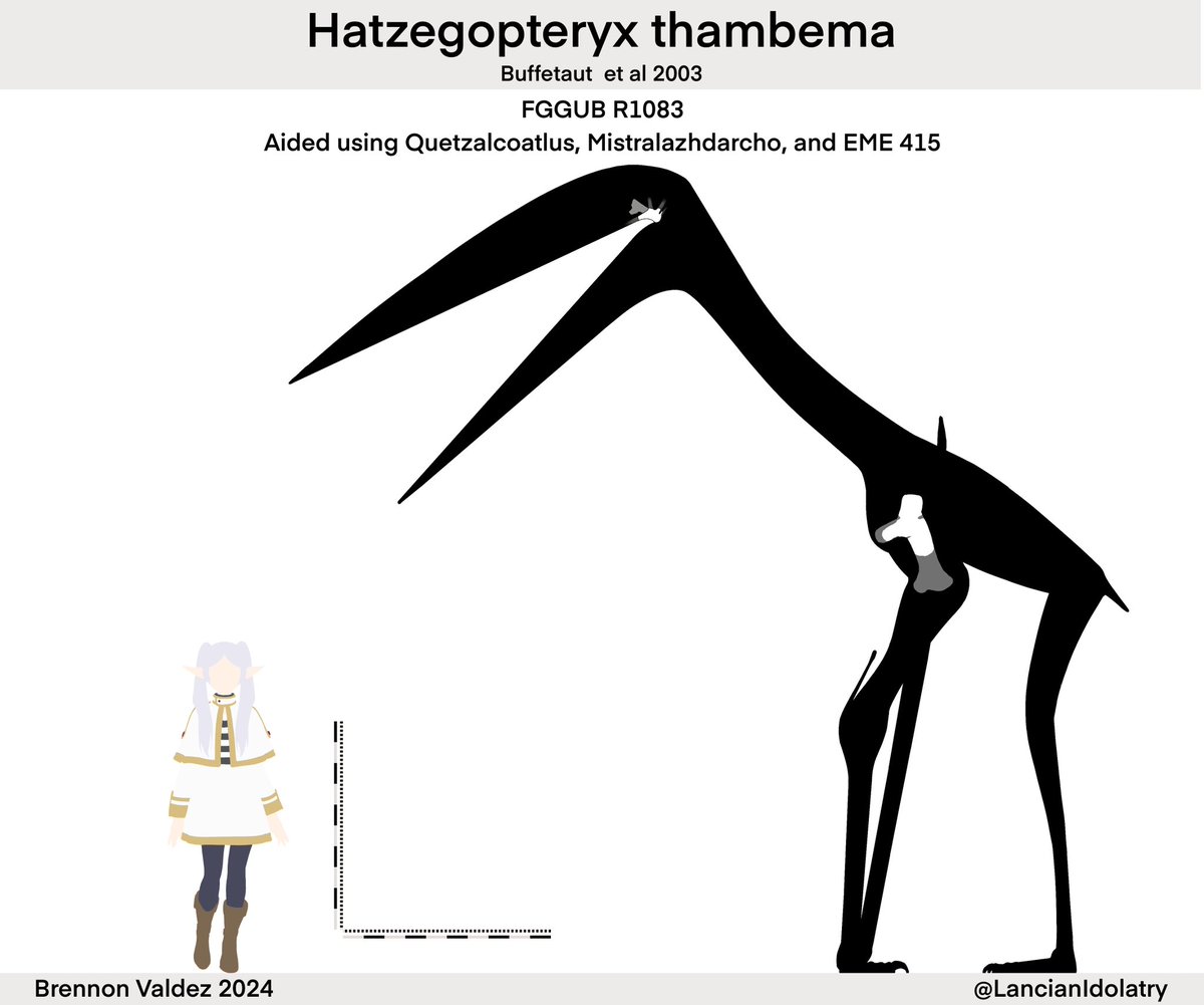 Was talking about pterosaurs with Pearl yesterday and found a great example of how paleontology is often entirely conjecture

So we’ve got an impressive beastie, Hatzegopteryx, very cool how they reconstructed that.

How much of the skeleton do we have? Turns out barely any lol