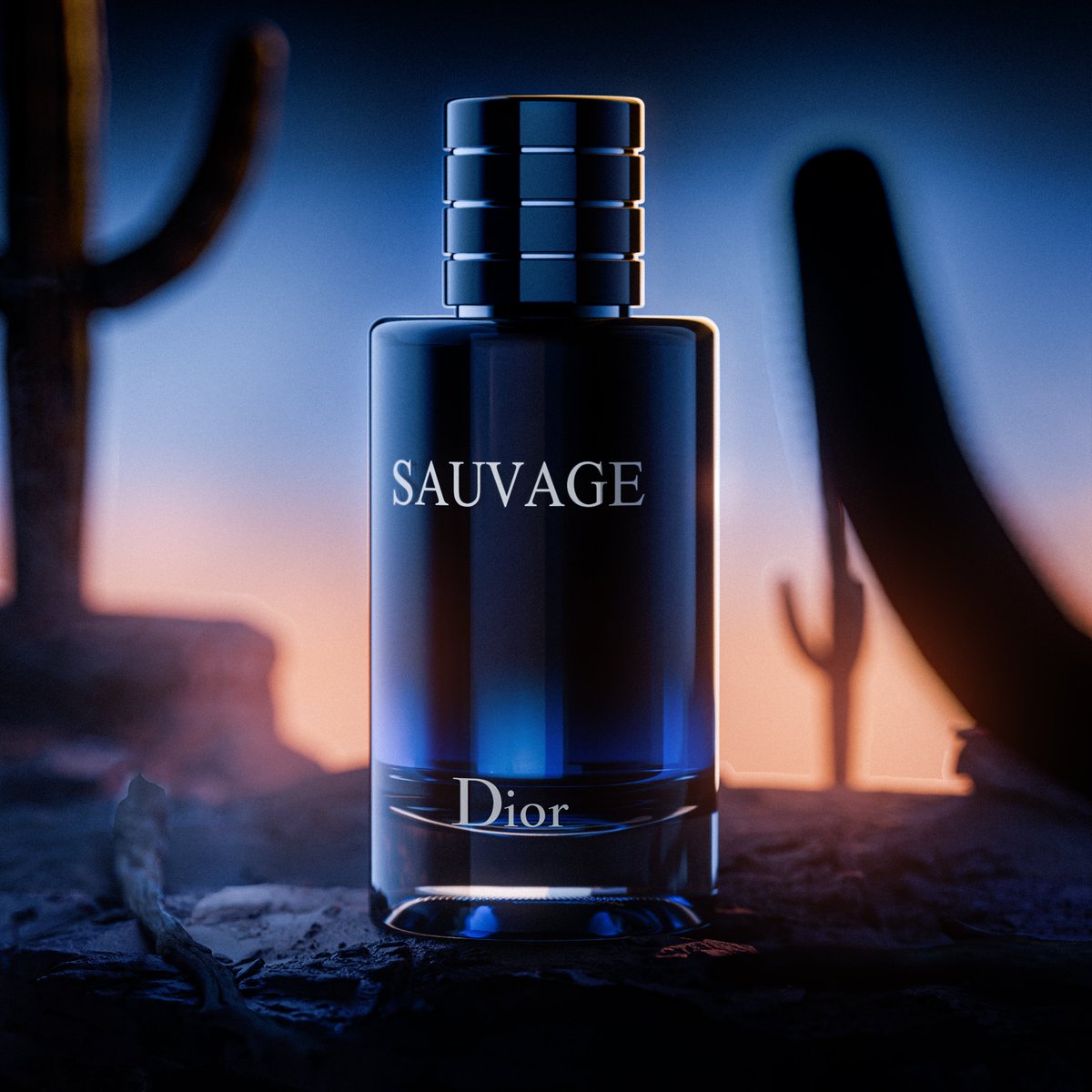 SlakzieArt's tweet photo. Dernier rendu 3D : Parfum Sauvage DIOR 🌵

#b3d https://t.co/kwsay06IOz