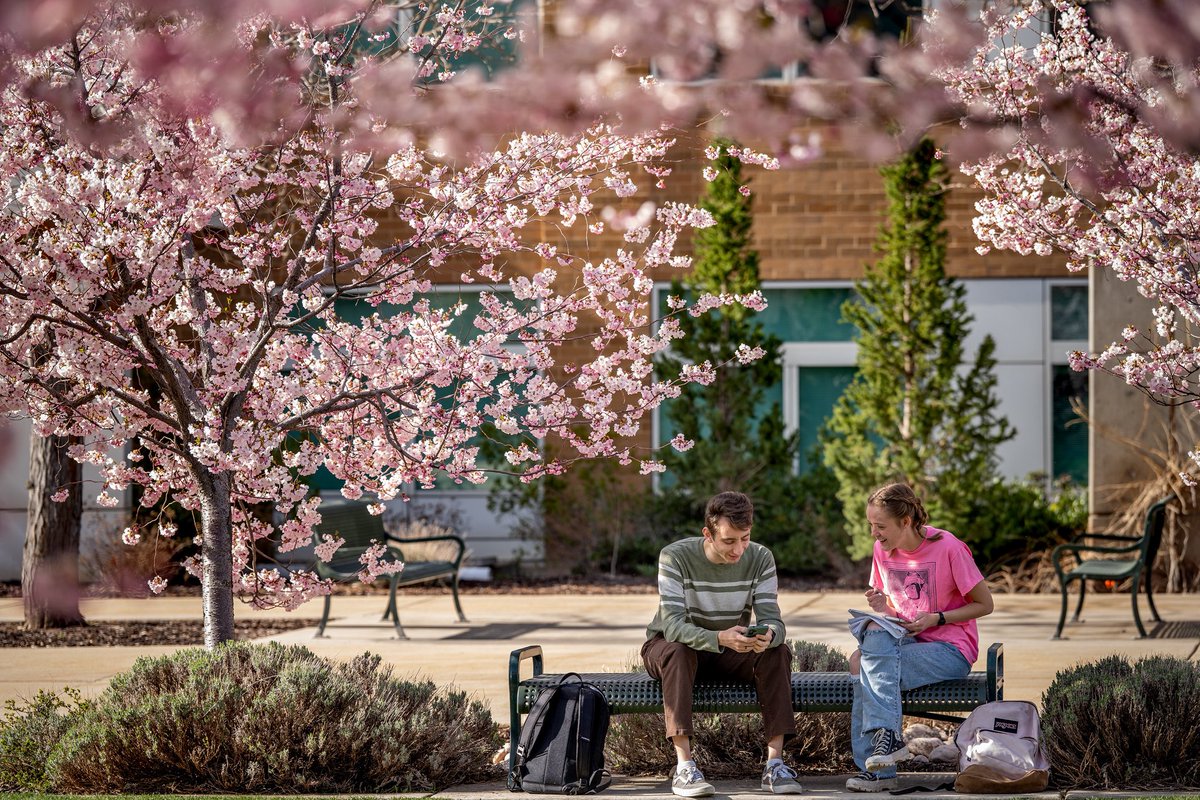 getintoweber's tweet image. The pursuit starts here. If you have already applied, been admitted, and completed your New Student Orientation, it’s time to register for classes.